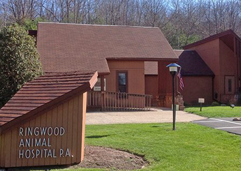 Carousel Slide 3: Ringwood Animal Hospital, Ringwood
