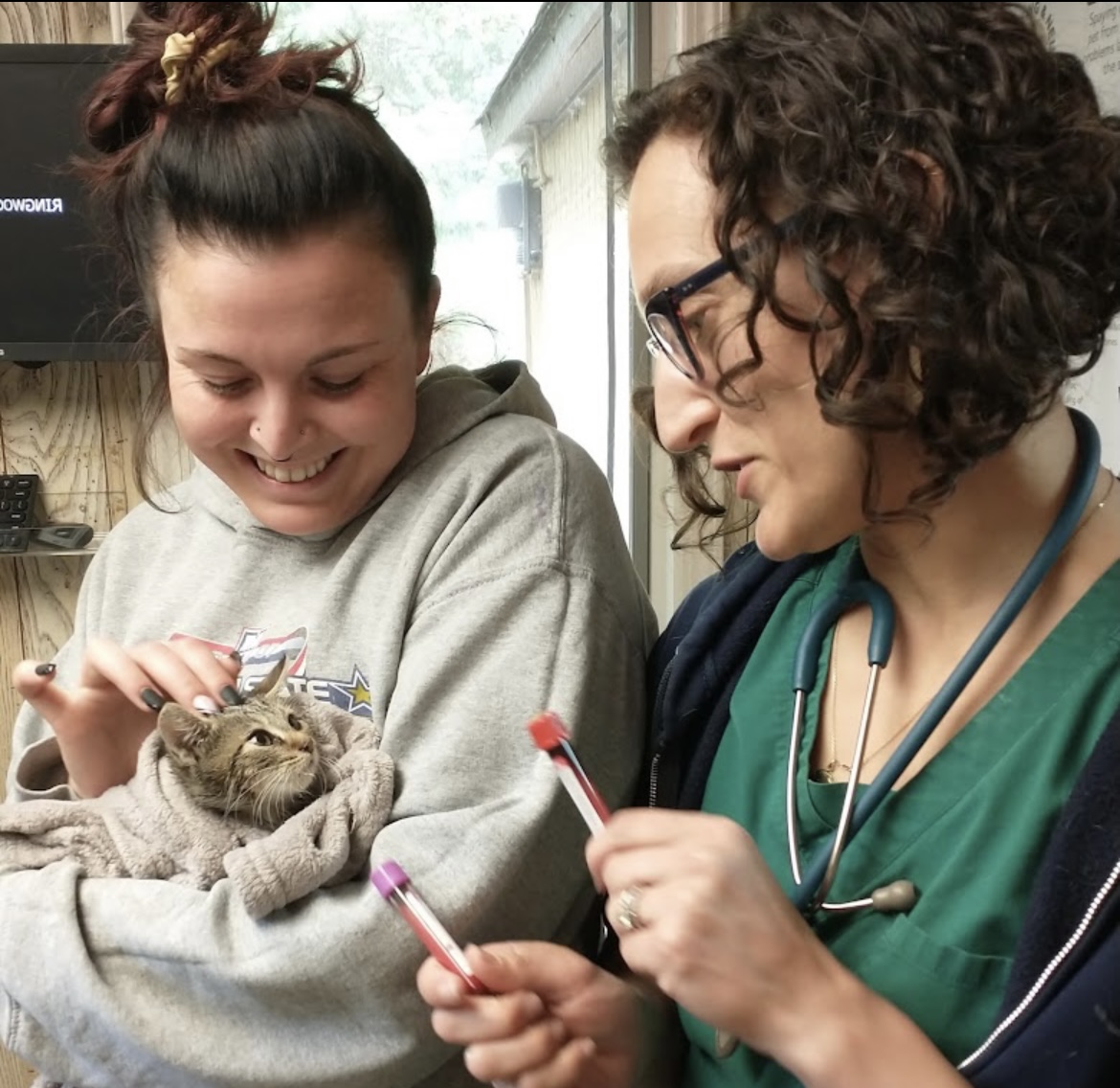 animal hospital in Ringwood